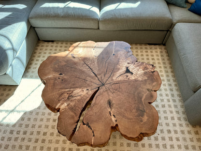 Cookie Coffee Table