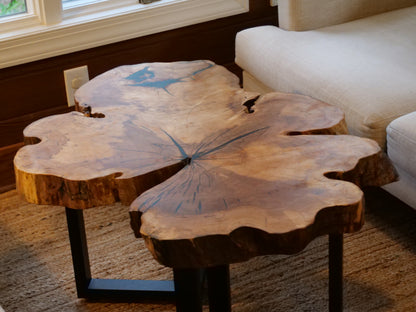 Cookie Coffee Table